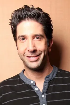 Дэвид Швиммер (David Schwimmer) - актёр, режиссёр, продюсер - фотографии -  голливудские актёры - Кино-Театр.Ру