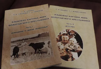 Серия монографий под редакцией профессора ВоГУ признана «Научной книгой  года» - АудиториЯ