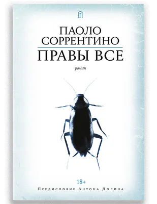 Фильмы Паоло Соррентино: что общего между картинами «Молодость», «Великая  красота», «Друг семьи» | GQ | GQ Россия