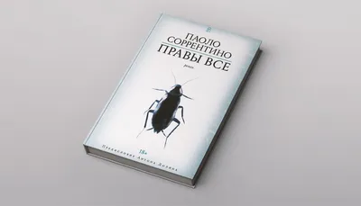 Паоло Соррентино. «Правы все». Отрывок