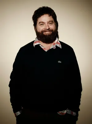 Обои Зак Галифианакис, Zach Galifianakis, 5k, photo, Знаменитости #14085