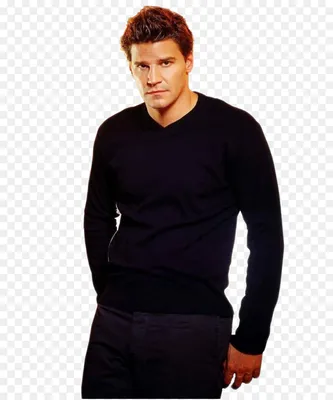 Полусвет. Лица. David Boreanaz. Angelus.. Обсуждение на LiveInternet -  Российский Сервис Онлайн-Дневников