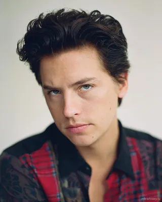 Обои Коул Спроус, Cole Sprouse, photo, 8k, Знаменитости #16255