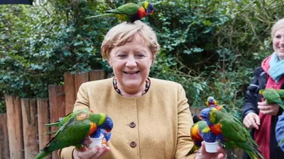 Сели на руки и голову: Меркель покормила попугаев в парке – яркие фото -  Pets