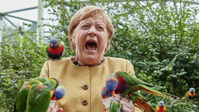 Меркель подверглась \"нападению\" попугая, когда она кормила птиц в парке -  РИА Новости, 24.09.2021