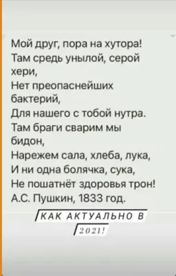 песня ам хери хой｜TikTok Search