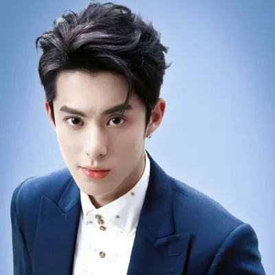 Идеи на тему «Dylan Wang| Ван Хэ Ди | Wang He Di Дилан Ван / 王鹤棣 / DiDi»  (200) в 2023 г | падающие звезды, актеры, диди