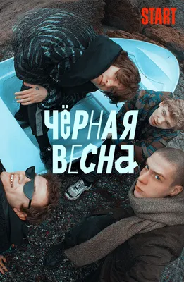 Безрукова, Бондарчук и другие звезды оценили новую драму «Амбивалентность»  на закрытой премьере | Passion.ru