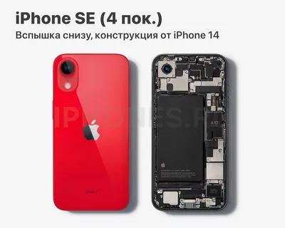 iPhone SE 4: цена, характеристики и дизайн | РБК Life