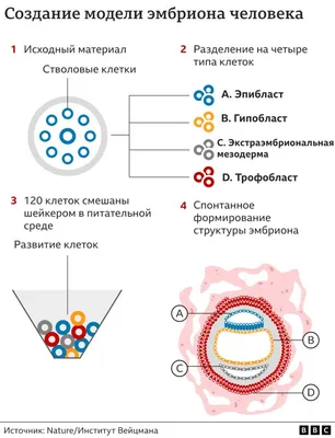 В \"Геном-Волга\" акция на ПГТ продлена | Клиника «Геном» в Волгограде