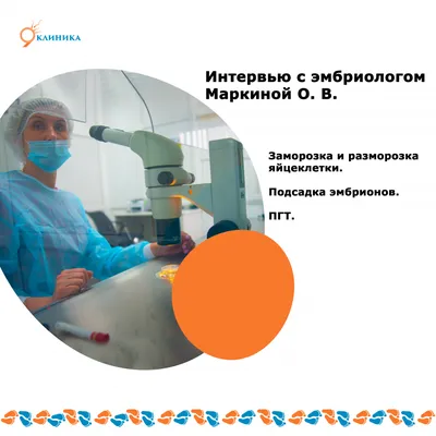 СТРАТЕГИИ И МЕТОДЫ ВЫБОРА ЭМБРИОНА | АРТ-ЭКО – клиника лечения бесплодия в  Москве