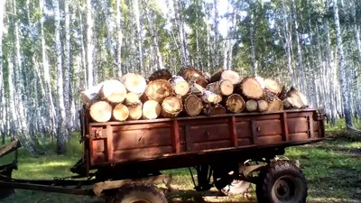Сколько весит 1 куб дров? - статья про массу дров
