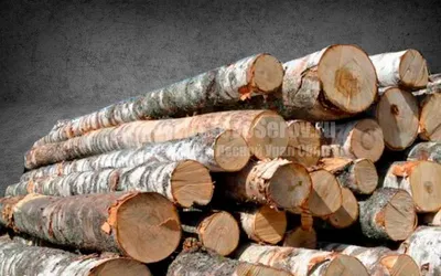 Сколько получилось дров из шести кубов леса.. - YouTube