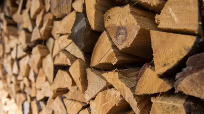 Новости Днепра: как купить дрова | Дніпровська панорама