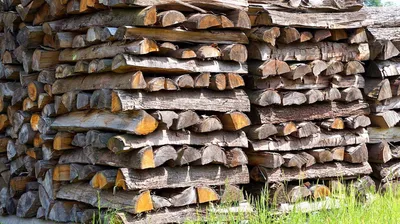 Как обстоят дела с заготовкой дров в провинции: цены, возможности,  ассортимент