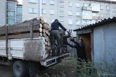 В Бурятии дрова стали на вес золота