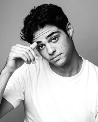 Ной Сентинео (Noah Centineo, Noah Gregory Centineo) - актёр - фотографии -  голливудские актёры - Кино-Театр.Ру