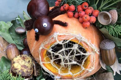 Как украсить тыкву на праздник: 30 идей для хэллоуинской тыквы, поделки,  украшения и фото - Телеграф