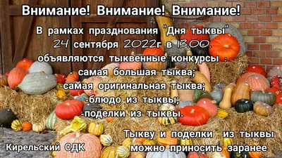 Домик из тыквы: поделки на осень для детей из тыквы