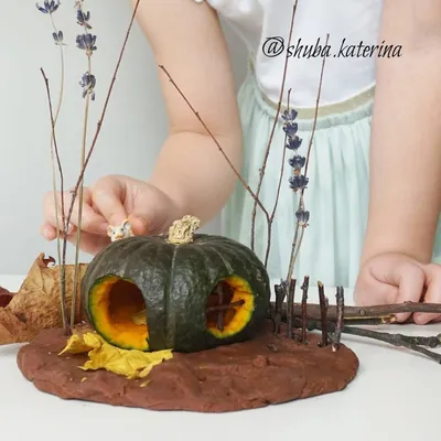Осенние композиции из тыквы | DIY ideas - YouTube