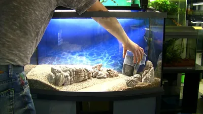 АквариумАрт. 100 литровый аквариум по мотивам картины Левитана - YouTube