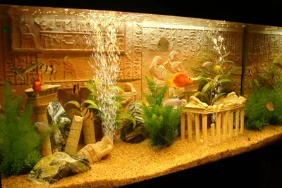 Оформление аквариумов различного объема: 150, 45, 35 или 25 литров. |  Ленинск-Кузнецкий