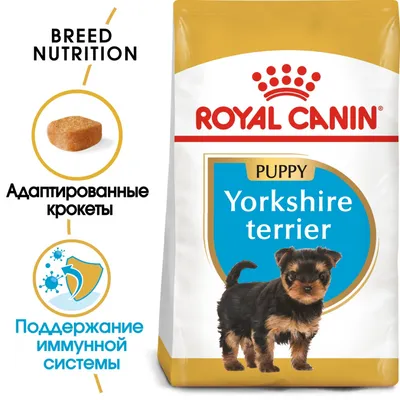 Royal Canin Yorkshire Terrier 29 Puppy сухой корм для щенков породы йоркширский  терьер - 500 г - купить в Москве | КотМатрос