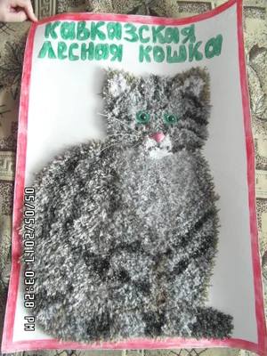 Кавказская лесная кошка