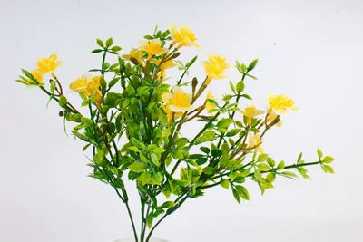 Искусственное растение - Камнеломка с зеленью жёлтая, цена 63 руб., артикул  30614-2