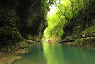Каньоны Мартвили и Окаце, водопад Кинчха — экскурсия на «Тонкостях туризма»