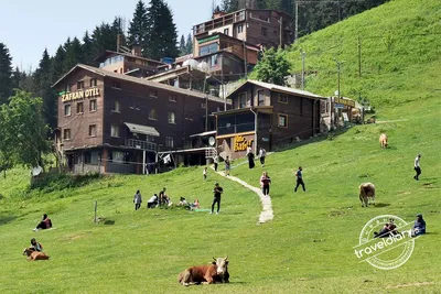 КАРАДЕНИЗ. Самая красивая Турция 🌲 которую мы не знаем. Озеро Uzungöl.  Долина Ayder. - YouTube