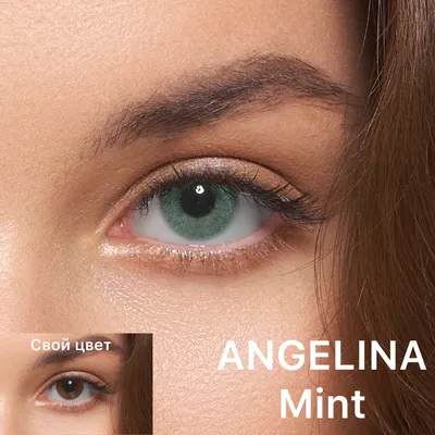 Цветные контактные линзы ANGELINA LENS ANGELINA 3 месяца, 0.00 / 14.0 /  8.6, Mint, 2 шт. — купить в интернет-магазине OZON с быстрой доставкой