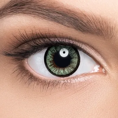 Зеленые линзы Adria Elegant Green | Купить контактные линзы в  интернет-магазине AdriaCats