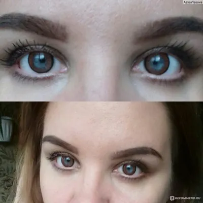 Цветные контактные линзы ADRIA Elegant - «Adria Elegant Brown Карие линзы  на голубых глазах!Много фото!» | отзывы
