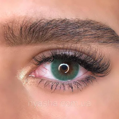 Зеленые линзы Hidrotone Verde для карих глаз - купить по лучшей цене в  Львове от компании \"Интернет магазин Няша\" - 1062655312