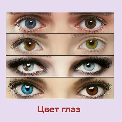 🤓 Карие? Голубые? Зелёные? Какие глаза у вас? Первое, что мы замечаем в  человеке, когда встречаемся с ним — это его глаза 👀 Насколько  распространён ваш цвет…