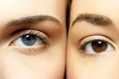Почему глаза бывают разного цвета, что придает цвет глазам