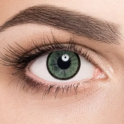 Зеленые линзы Adria Elegant Green | Купить контактные линзы в  интернет-магазине AdriaCats