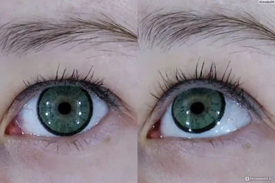 Цветные контактные линзы ADRIA Elegant - «За мои зеленые глаза называешь ты  меня глазуньей | Перекроют ли зеленые линзы с диоптриями голубые глаза?» |  отзывы