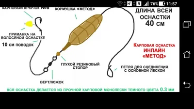 Простая карповая оснастка. Кормушка \"Метод\" с приманкой волосяной оснаске  на карпа. | Фото заметки из моей жизни в Крым | Дзен