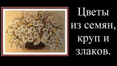 🌺 Цветы из семян, круп и злаков.Flowers from seeds, cereals and cereals. -  YouTube