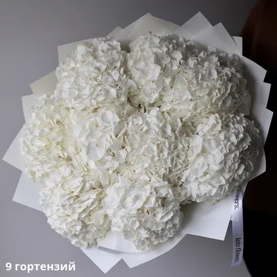 Букет из белых гортензий - заказать доставку цветов в Москве от Leto Flowers