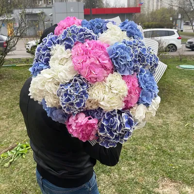 15 гортензий в букете | Бесплатная доставка цветов по Москве