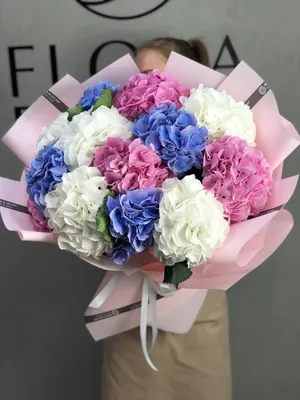 Букет из 11 гортензий | Flower catalog Flora Décor