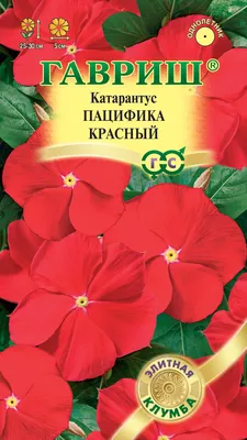 Семена Катарантус Пацифика Красный, 5шт, Гавриш, Элитная клумба по цене 30  руб. Большой выбор Купить по всей России Интернет-магазин Гавриш  8-495-902-77-18