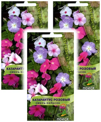 Комплект семян Катарантус розовый смесь окрасок комнатн. х 3 шт. — купить в  интернет-магазине по низкой цене на Яндекс Маркете