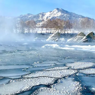 Семь причин приехать в Республику Алтай зимой: от лыжного экстрима до  эко-еды | Ассоциация Туроператоров