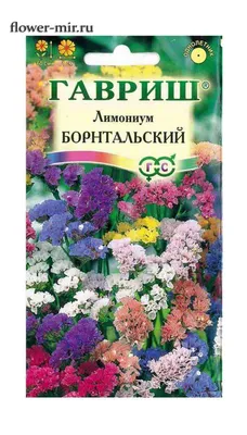 Лимониум (Статице , Кермек) Борнтальский смесь 0,1 гр. купить оптом в  Томске по цене 15,53 руб.