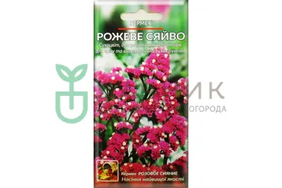 Цветы Кермек Розовое сияние 0,1 г : Полтавское - семена купить в Киеве,  Украине фото, отзывы, описание - Дачник