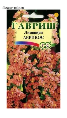 Лимониум (Статице , Кермек) Абрикос 0,01 гр. купить оптом в Томске по цене  11,47 руб.